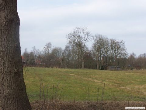 Storchennestvorbereitung 2011