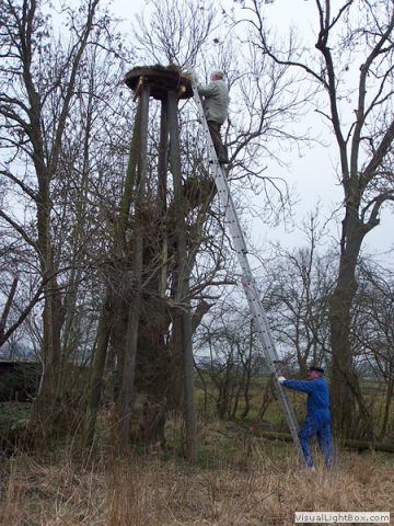 galerie_0037_018_100_9942-45636c50