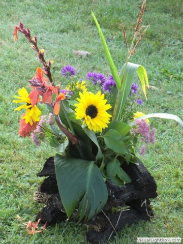 galerie_0048_016_cimg0683-1-29d8c664