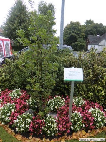 galerie_0096_cimg3458-f08a3f69