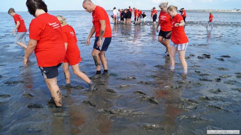 galerie_0096_dsc00531-67ef761d