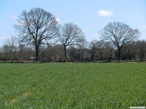 galerie_0112_cimg4187-97cd1f65