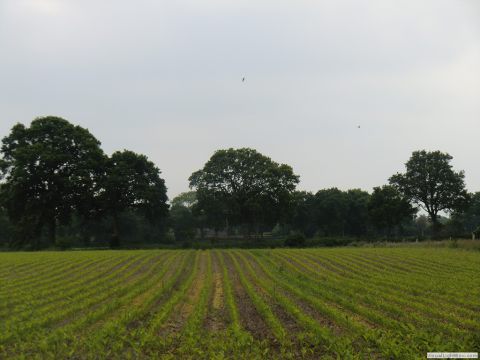 galerie_0117_cimg5468-4dccc3ac