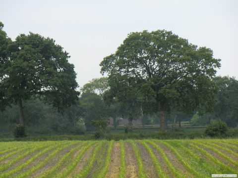 galerie_0117_cimg5469-e822743b