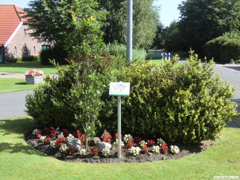 galerie_0120_cimg6408-35b7027d