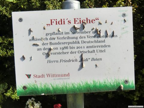 galerie_0120_cimg6412-ca9e8496