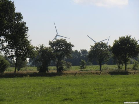 galerie_0120_cimg6428-679e299d