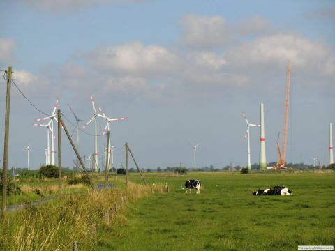 galerie_0120_cimg6436-ac711026