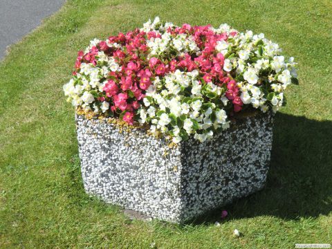 galerie_0120_cimg6455-cf435ef7