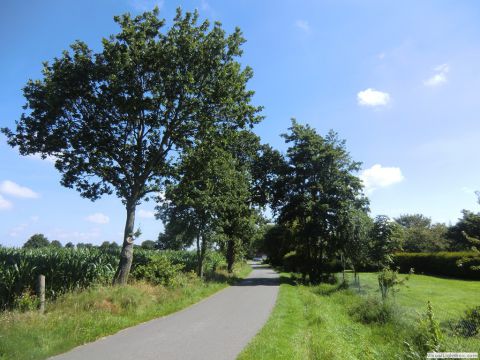 galerie_0120_cimg6478-c47f6e7a