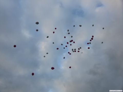 galerie_0121_cimg6643-ff309040